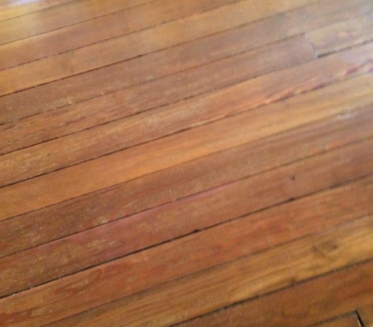 Floor Refinished